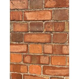 Reclaimed Bricks Packs of 400- Qty 20